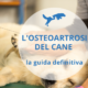 osteoartrosi del cane la guida definitiva