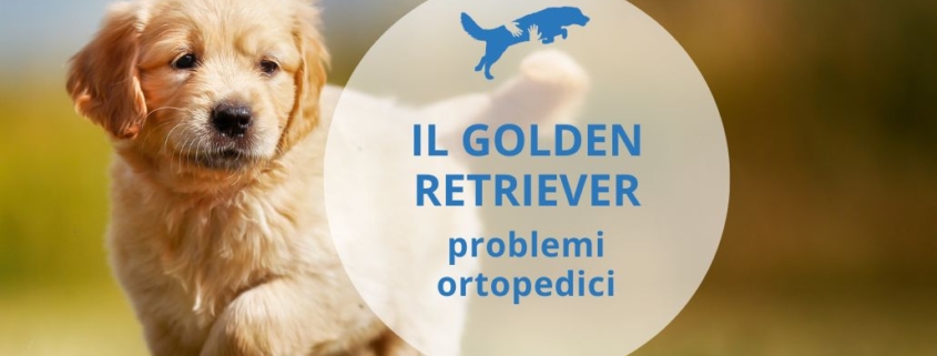 problemi di salute golden retriever