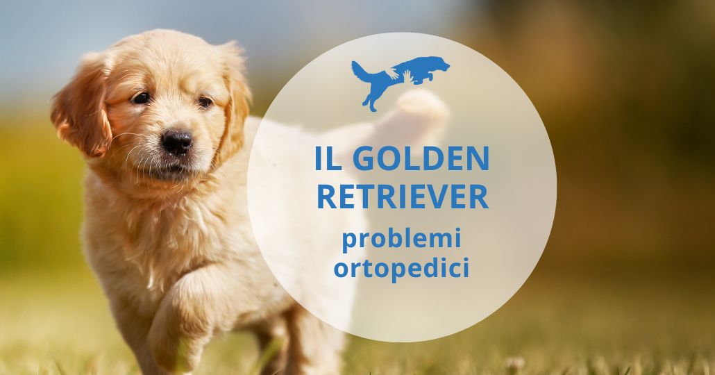 problemi di salute golden retriever